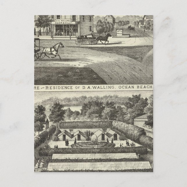 Store and residence of DA Walling Postcard (Front)
