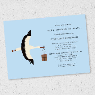 Stork and package Baby Shower by mail Invitation