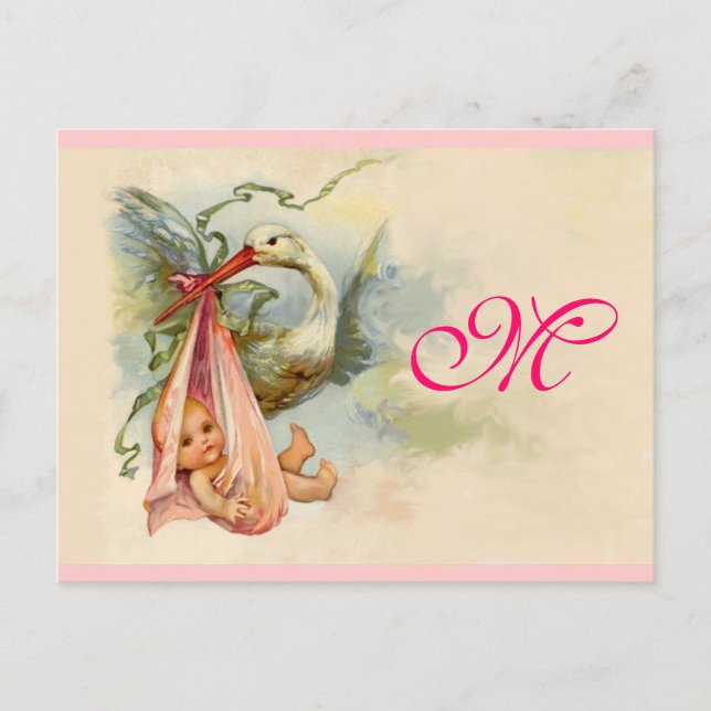 STORK BABY GIRL SHOWER 2 INVITATION POSTCARD (Front)