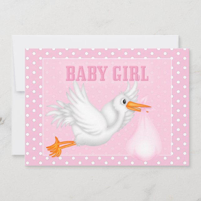 Stork Baby Girl Shower Invitation (Front)