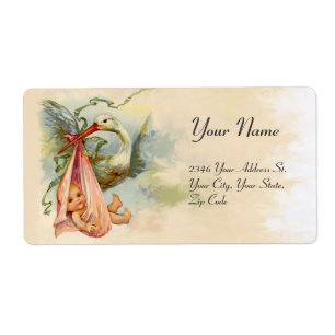 STORK BABY GIRL SHOWER PINK