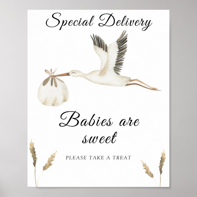 Stork baby shower - babies are sweet poster (Front)