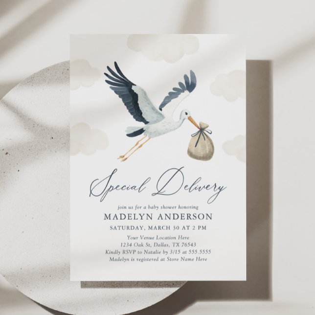 Stork Baby Shower Invitation (Creator Uploaded)