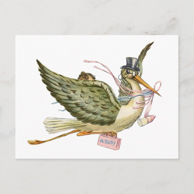 STORK BABY SHOWER INVITATION POSTCARD (Front)