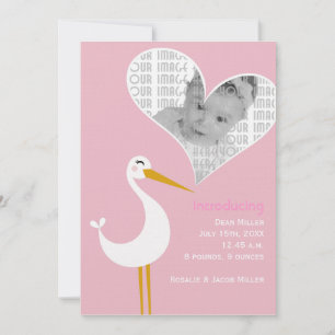 Stork Birth Announcement