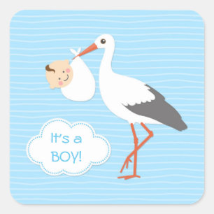 Stork carrying cute baby boy You Sticker