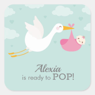 Stork Clouds Girl Bundle Baby Shower Square Sticker