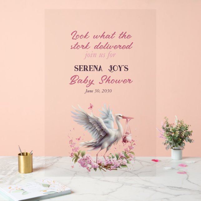 Stork Delivering a Baby Girl Acrylic Sign (Wedding)