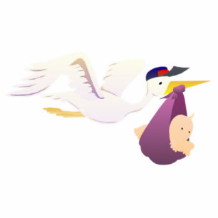 Stork Delivering a Baby Standing Photo Sculpture