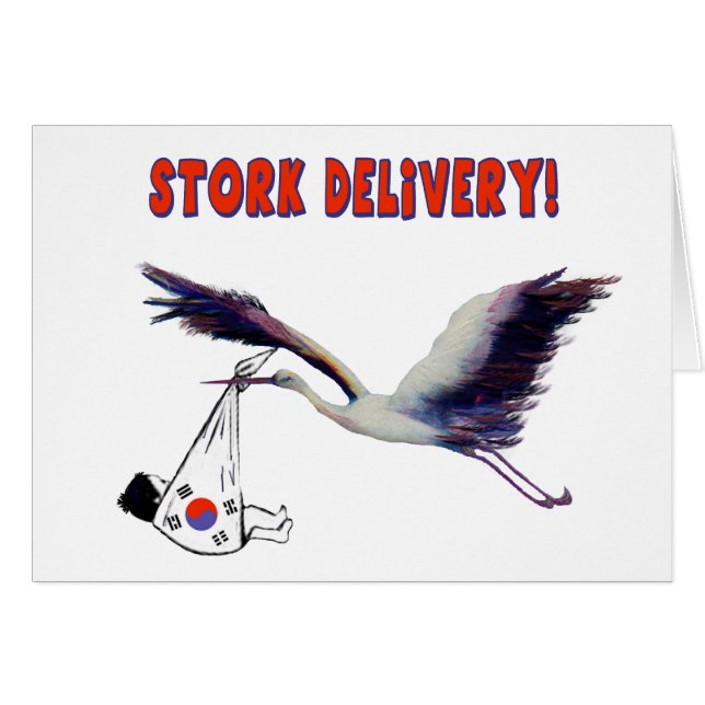 Stork Delivery! Adoption from Korea Homecoming  (Front Horizontal)