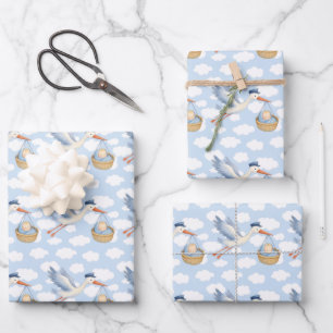 Stork Delivery Baby Boy Wrapping Paper – Cute Blue