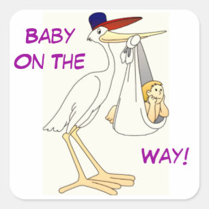 Stork Delivery Baby Square Sticker