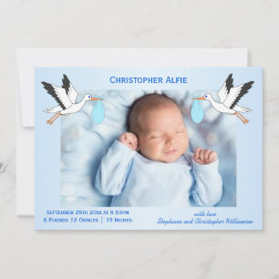 Stork Design Baby Boy Birth Announcement