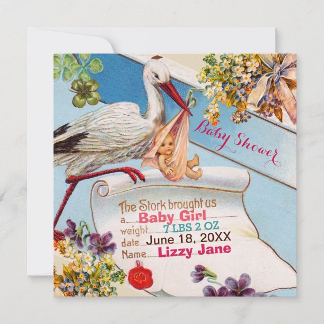 STORK,FLOWERS GiRL BABY SHOWER BIRTH STATUS Invitation (Front)