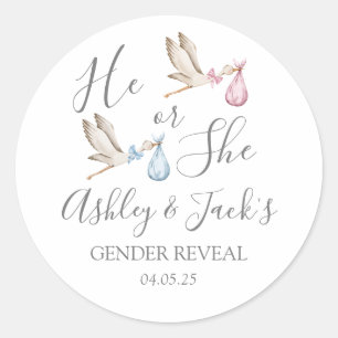 Stork Gender Reveal Invitation Classic Round Sticker