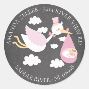 Stork Girls Baby Shower Return Address Label