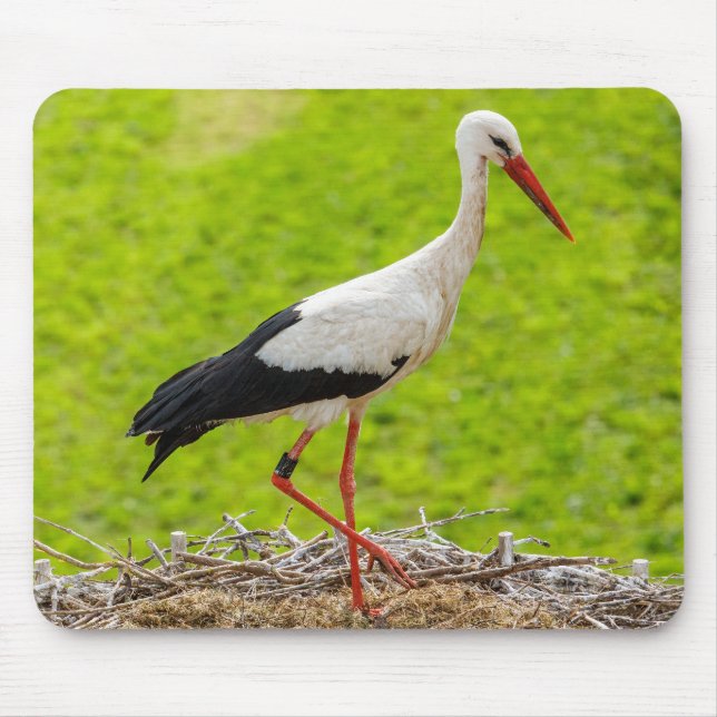 Stork in nest with chicks mouse mat (Front)
