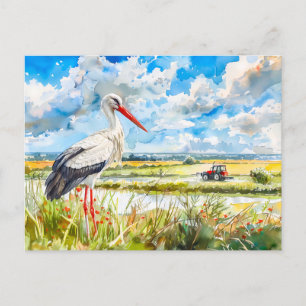 Stork in Summer Fields Havelland Watercolor Style Postcard