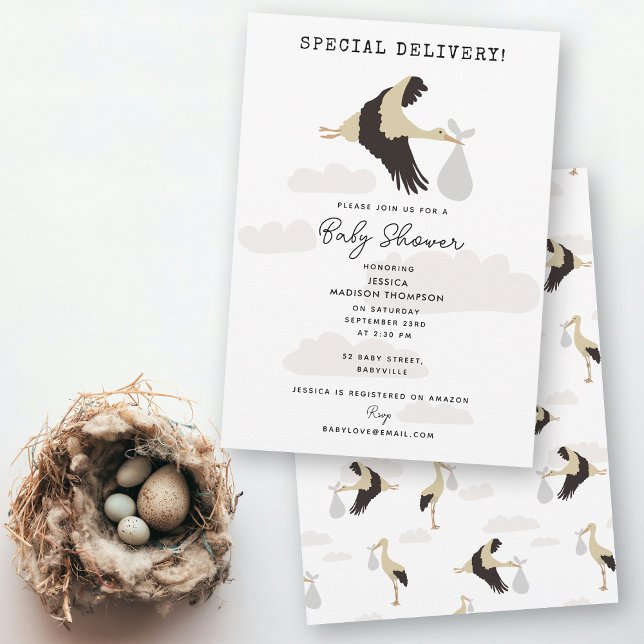 Stork Newborn Baby Boy Girl Baby Shower Invitation (Stork Newborn Baby Boy Girl Baby Shower Invitation)