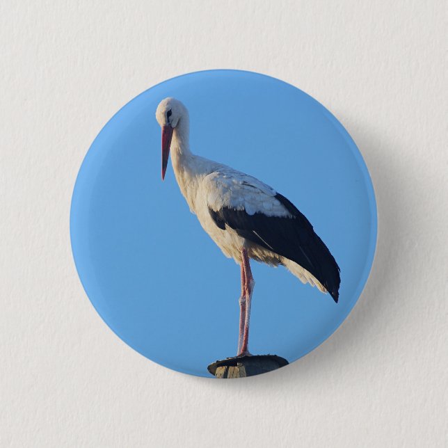 Stork on pole 6 cm round badge (Front)
