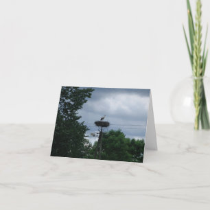 Stork Photo Baby Pregnancy Announcement Card