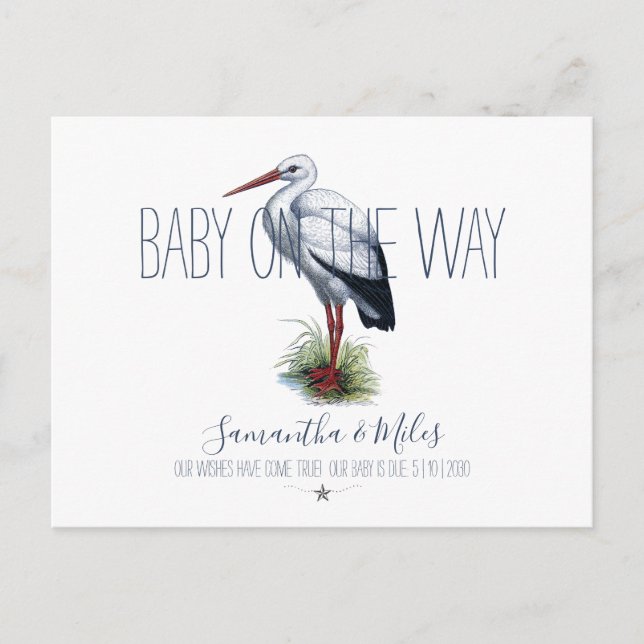Stork Pregnancy Announcement (Front)