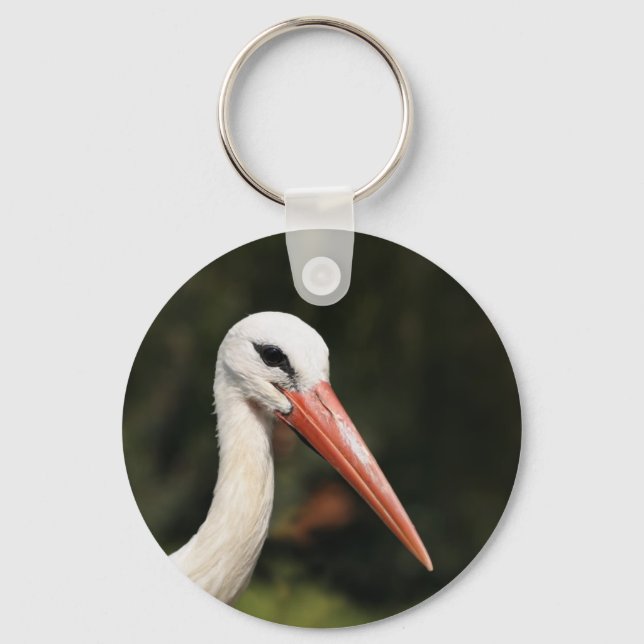 Stork - symbol of Strasbourg and Alsace, France Key Ring (Front)