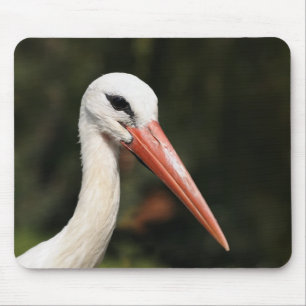 Stork - symbol of Strasbourg and Alsace, France Mouse Mat
