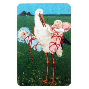STORK TWIN BABY SHOWER, Pink ,Teal Blue Magnet