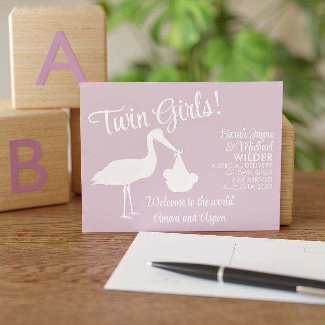 Stork Twin Girls Pink Birth Announcement Postcard (Creator Uploaded)