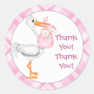 Stork & Twin Girls Thank You Classic Round Sticker