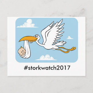 Stork watch postcard