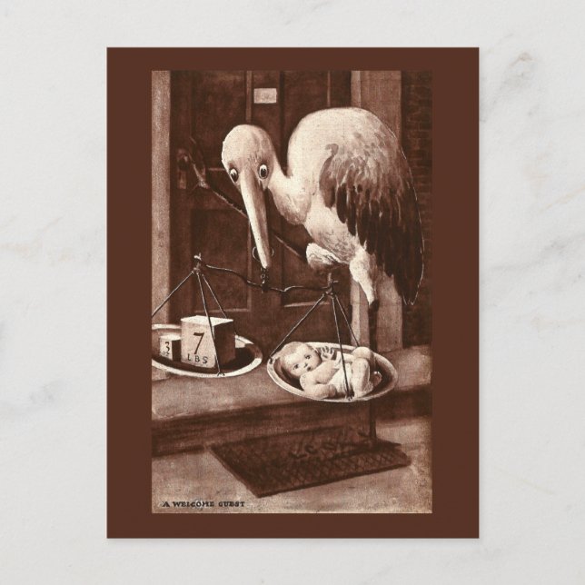 Stork Weighing New Baby Vintage Announcement Postcard (Front)