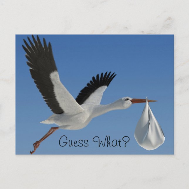 Stork with Baby Bundle Postcard (Front)