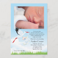 Stork's Early Delivery Photo Post Baby Shower