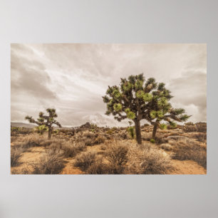 Storm Approaching at Joshua Tree Poster