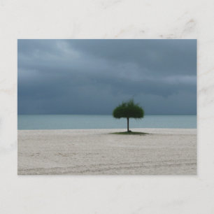 Storm Brewing Postcard