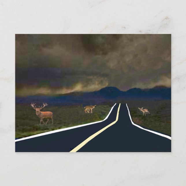 Storm Brewing Postcard (Front)