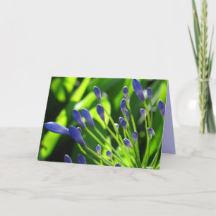 Storm Cloud Lily of the Nile Card