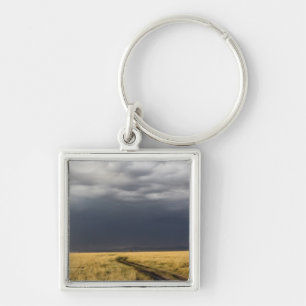Storm clouds and road across gassy plains of the key ring