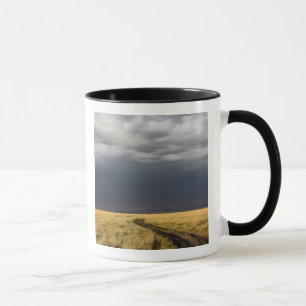 Storm clouds and road across gassy plains of the mug