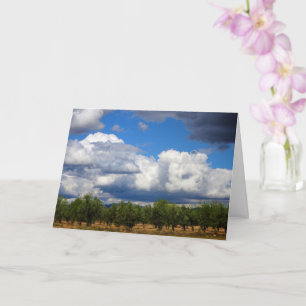 Storm Clouds over Spanish Olive Grove Card