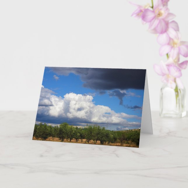Storm Clouds over Spanish Olive Grove Card (Orchid)