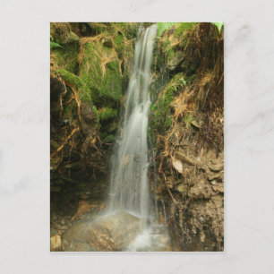 Storm Runoff postcard