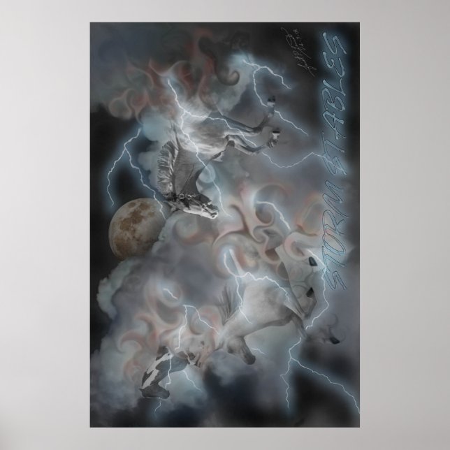 Storm Stables Poster (Front)