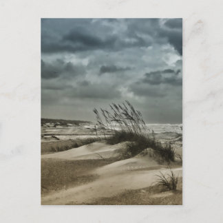 Stormy Anastasia Postcard