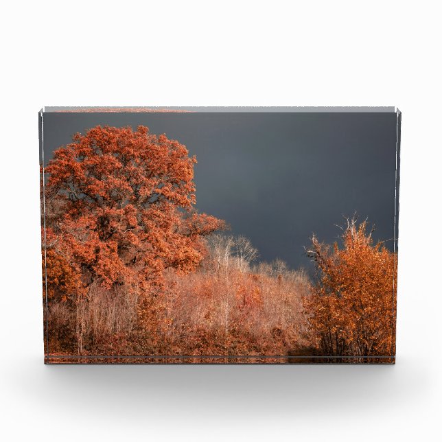 Stormy Autumn Photo Block (Front)
