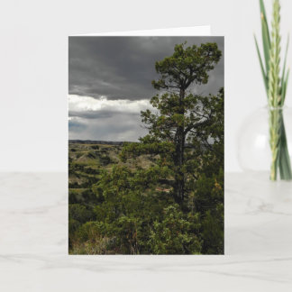 Stormy Badlands & Juniper Tree Note Card