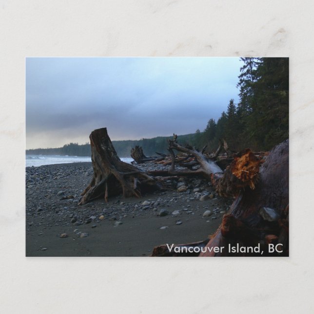 Stormy Beach Postcard (Front)