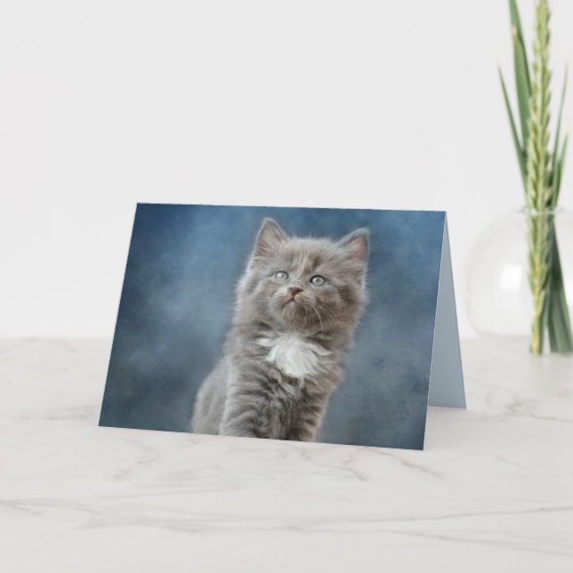 stormy cat greeting card (Front)